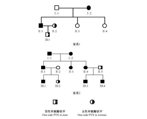 瓣狀甲血統